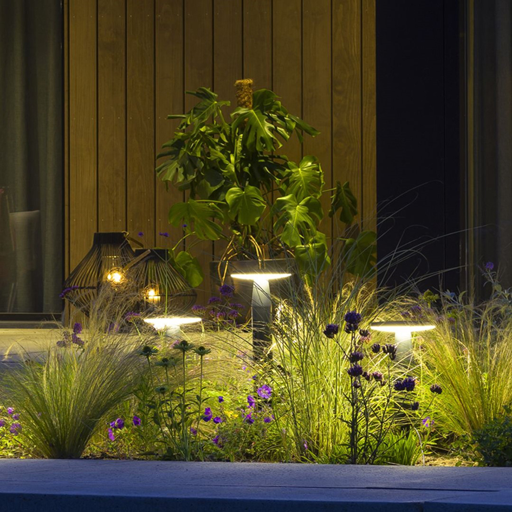 Đèn LED sân vườn và đèn LED rọi cây nên dùng loại nào