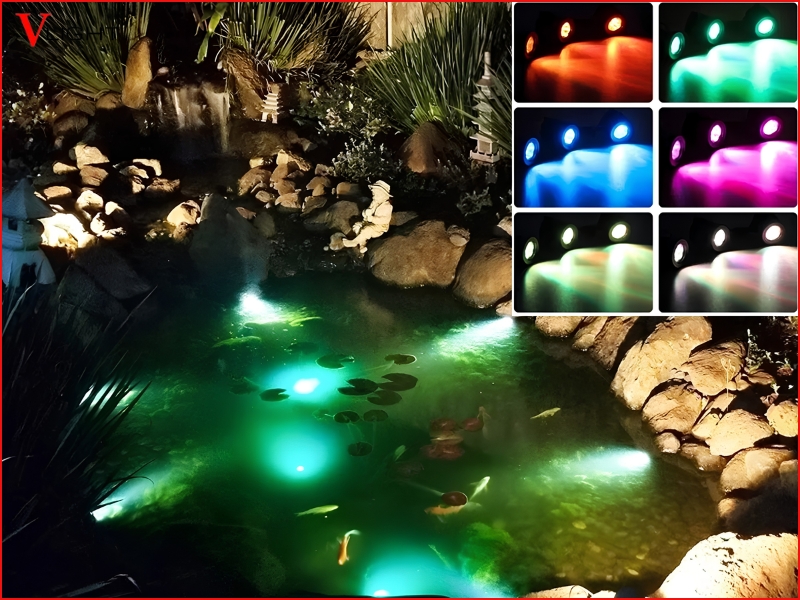 Đặc thù môi trường hồ cá và yêu cầu đối với đèn LED âm nước