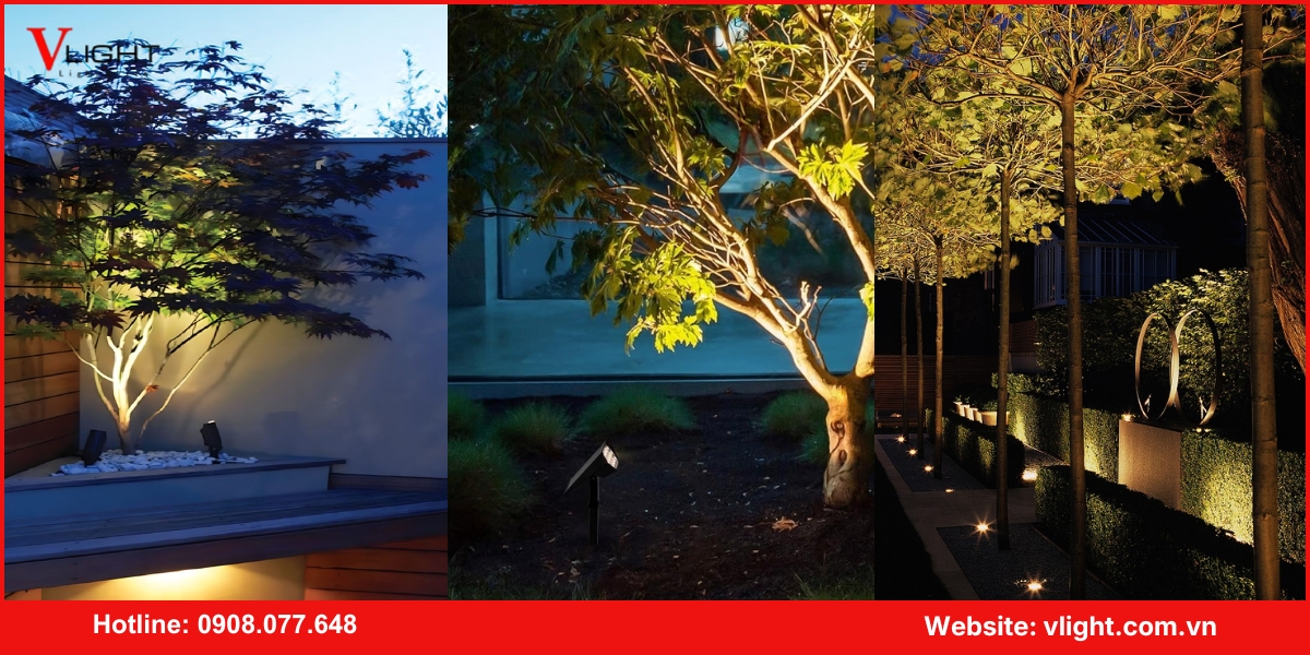 Ứng dụng của đèn led rọi cây